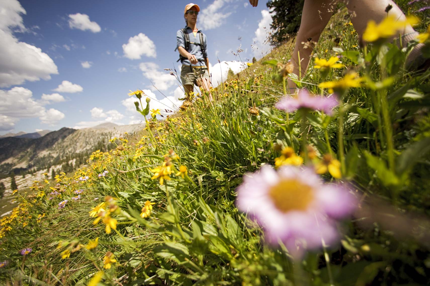 Tomas Zuccareno Photography | Hiking in the Wildflowers